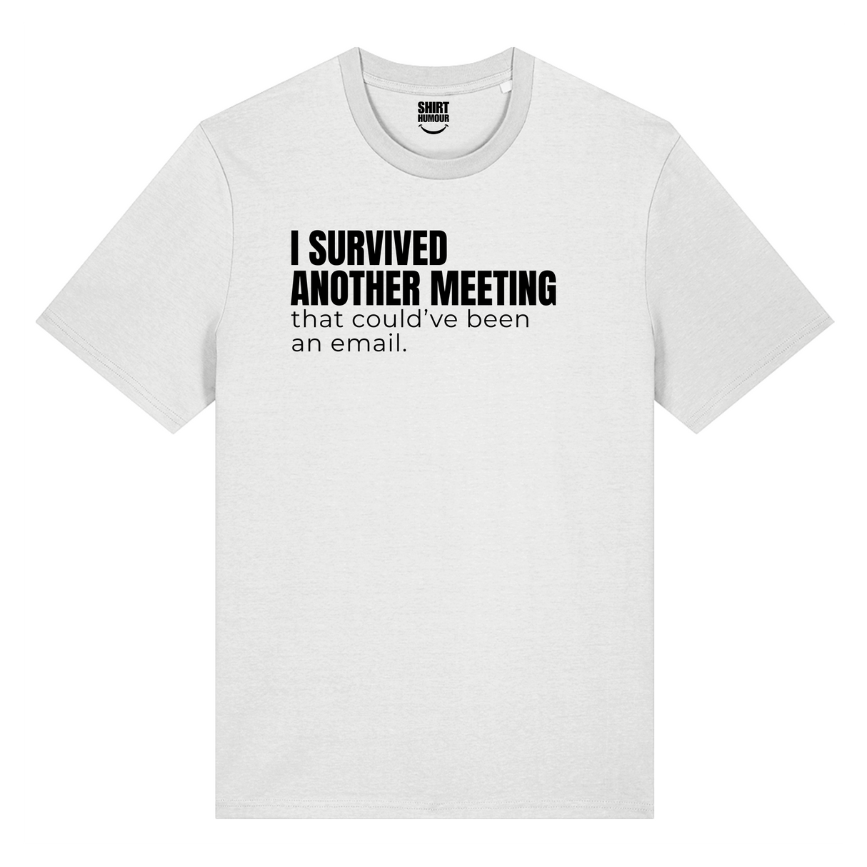 I Survived Another Meeting