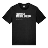 I Survived Another Meeting