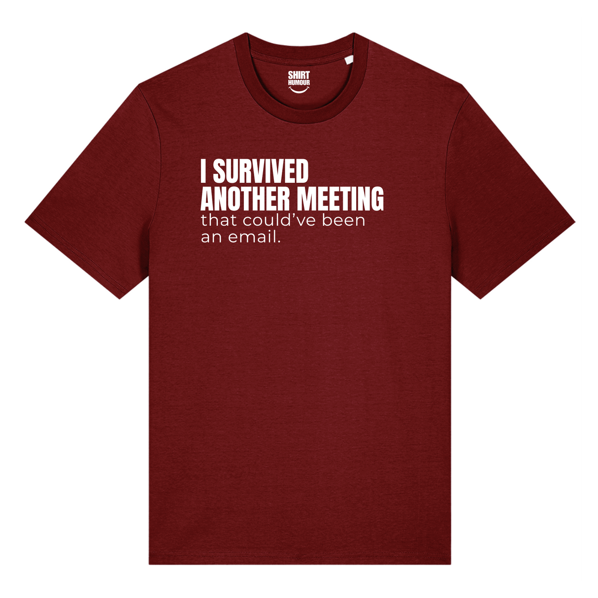 I Survived Another Meeting