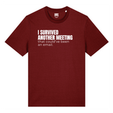 I Survived Another Meeting