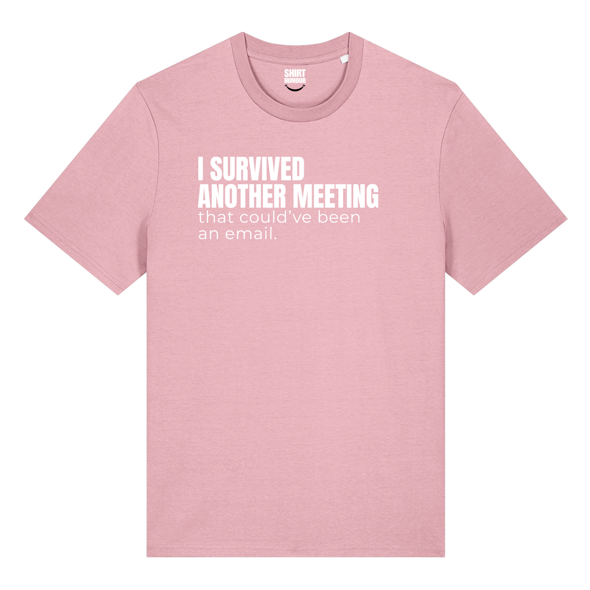 I Survived Another Meeting