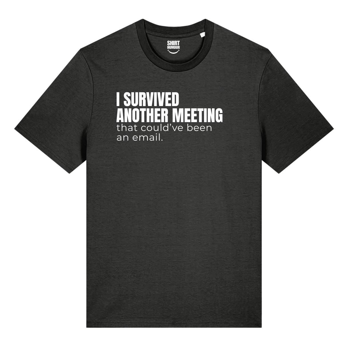 I Survived Another Meeting