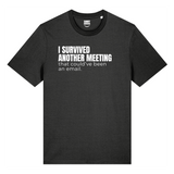 I Survived Another Meeting