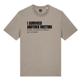 I Survived Another Meeting
