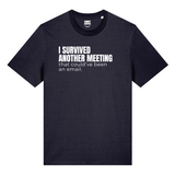 I Survived Another Meeting
