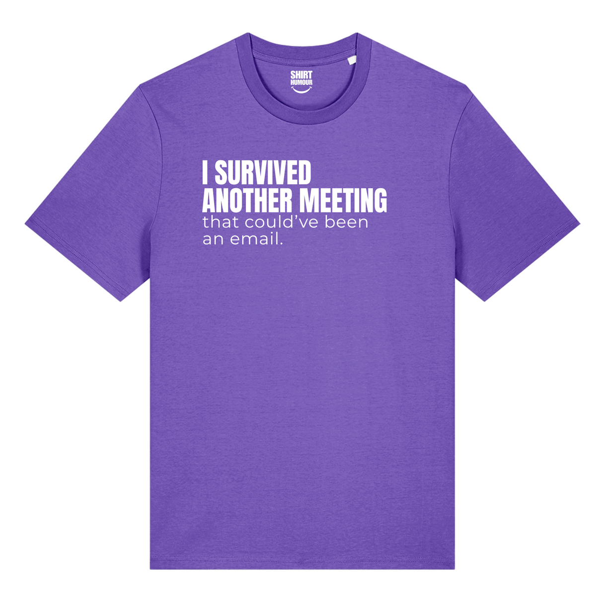 I Survived Another Meeting
