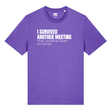 I Survived Another Meeting