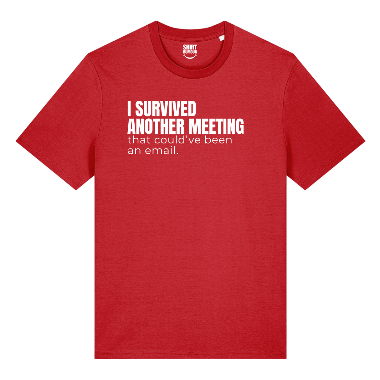 I Survived Another Meeting