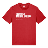 I Survived Another Meeting