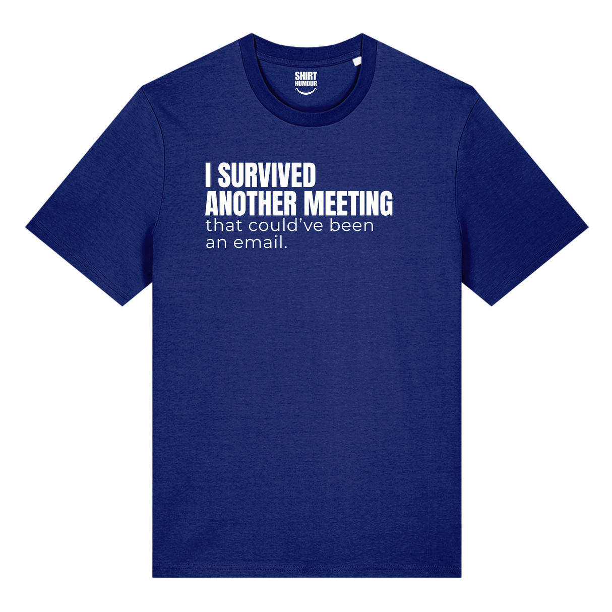I Survived Another Meeting